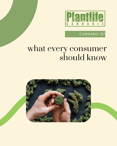 Cannabis 101: What Every Consumer Should Know