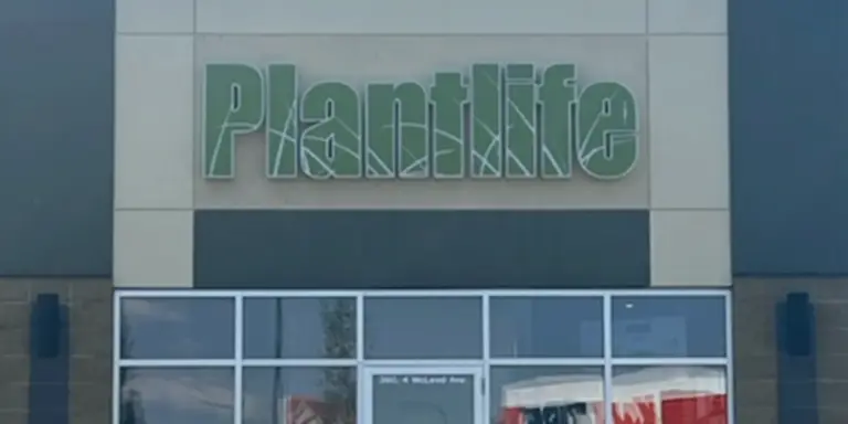 Plantlife Cannabis Dispensary Recreational Delivery Cannabis Dispensary Alberta, Canada Plantlife-SpruceGrove-Hero